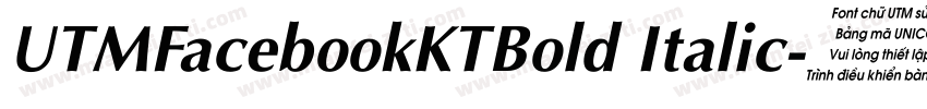 UTMFacebookKTBold Italic字体转换